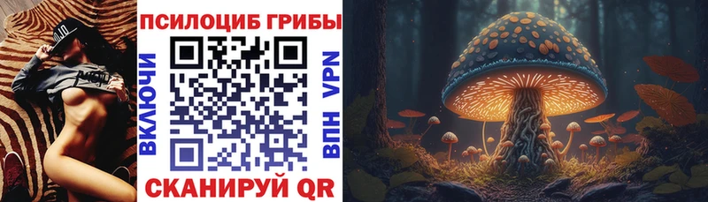 Псилоцибиновые грибы GOLDEN TEACHER  Первомайск 